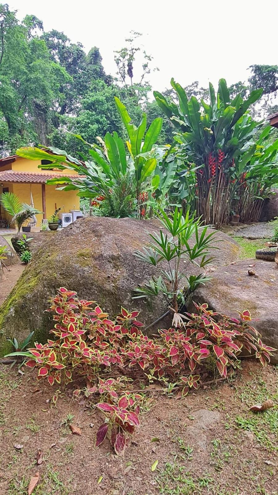 Recanto Da Margo 1, Casa Com Acesso A Cachoeira Paraty Exterior foto