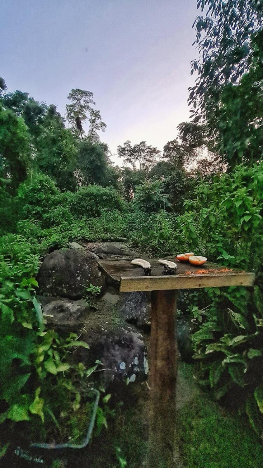 Recanto Da Margo 1, Casa Com Acesso A Cachoeira Paraty Exterior foto